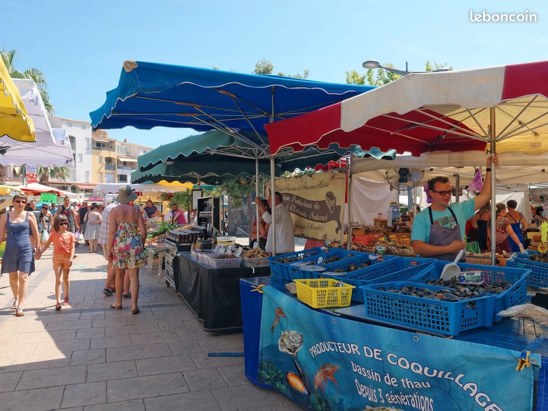 Studio parking + terrasse CAP D'AGDE PLAGE LA ROQUILLE (image 12)