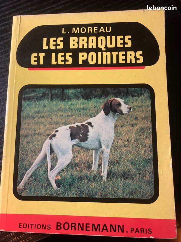 Les braques et les pointers (image 1)