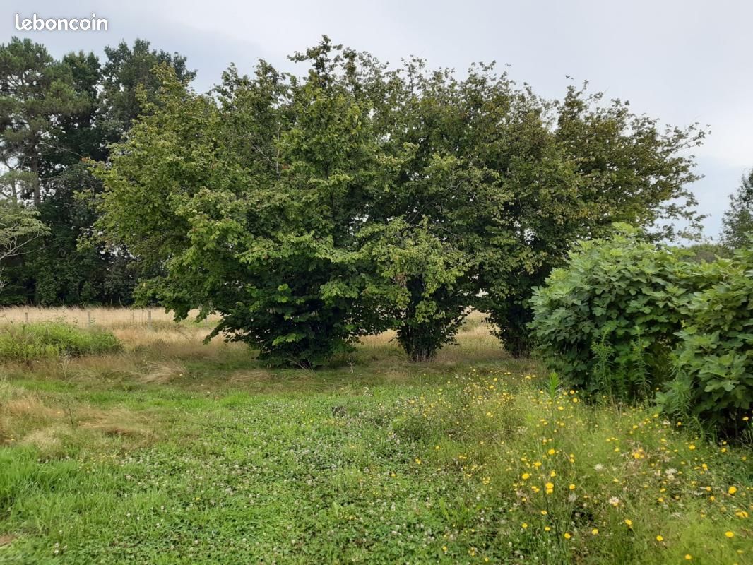 Terrain 600 m² Podensac · 90 000 €