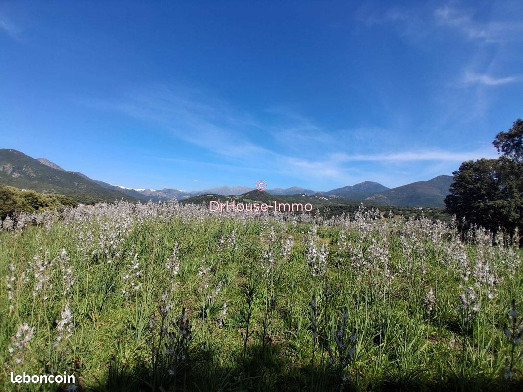 Terrain 4 pièces 1000 m² · à Bastelicaccia · 1 000 m² · 240 000 €