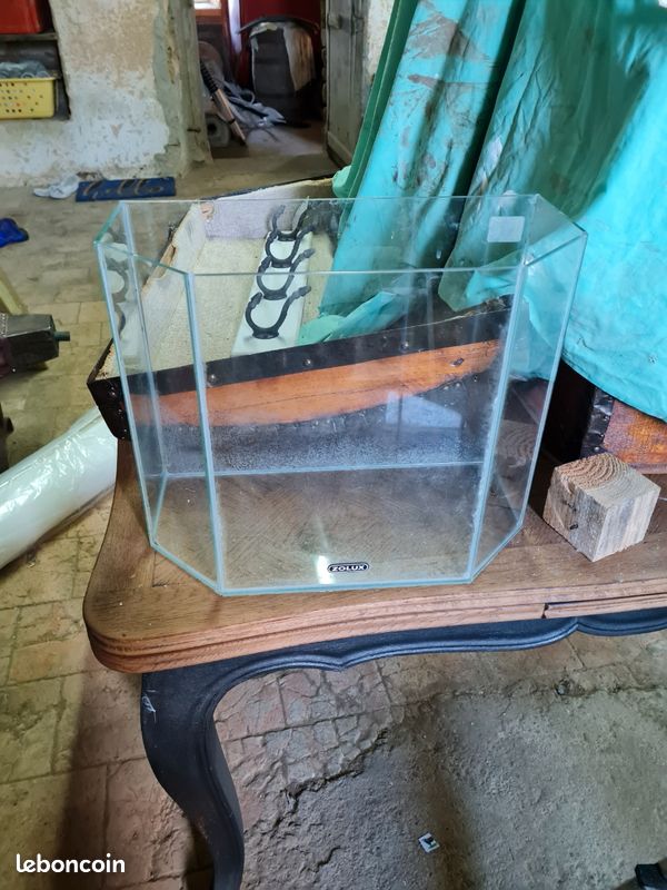 Aquarium en verre (image 1)
