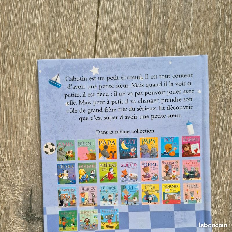 Livre Une sœur ça sert à quoi. Edition Fleurus (image 4)
