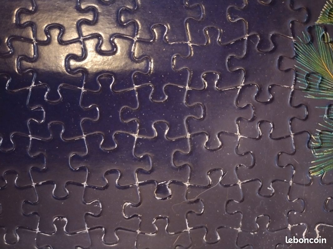 Puzzle 1000 pièces incomplet (image 4)