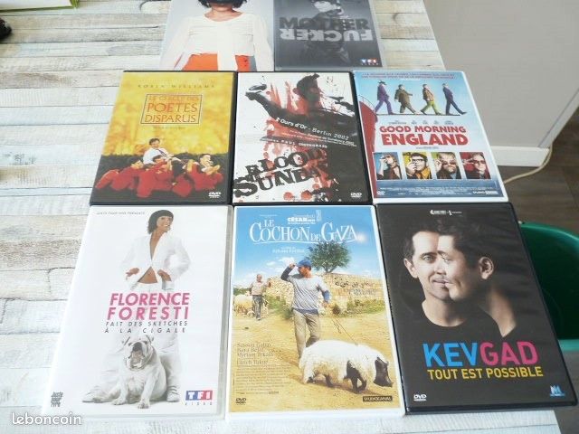 DVD "Vu du ciel" Yann Arthus Bertrand (paris), Bloody sunday, Le cochon de Gaza... (image 13)