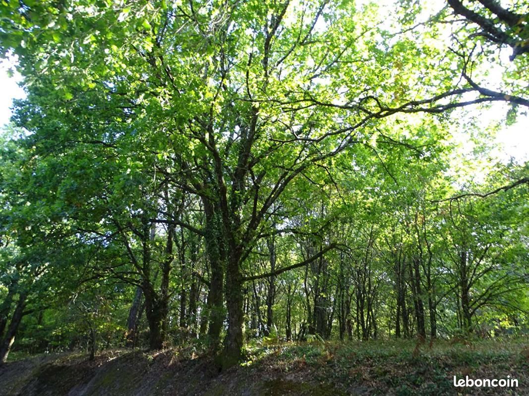 Terrain 5 000 m² Saint Laurent Des Hommes · à Saint-Laurent-des-Hommes · 28 500 €