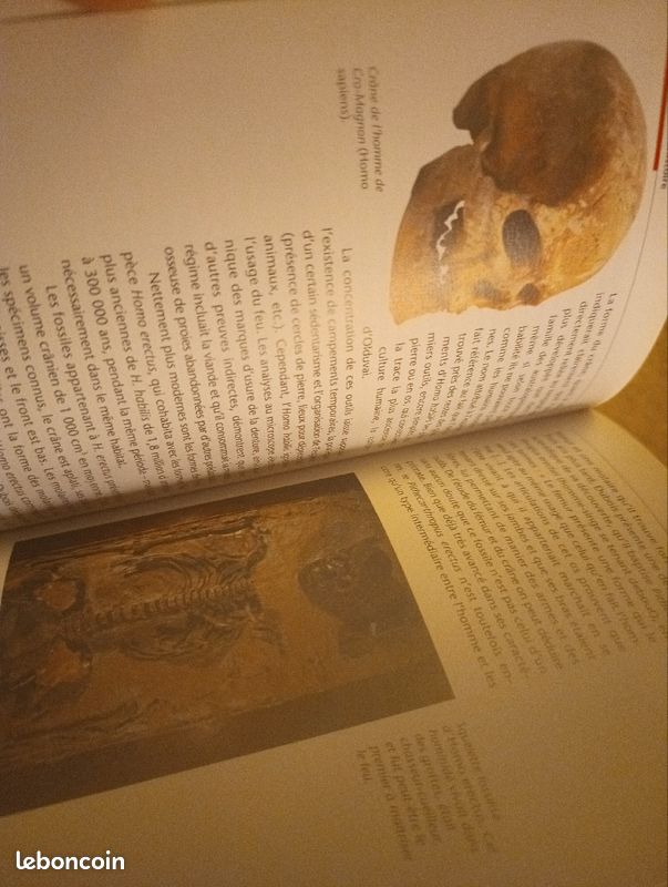 Histoire universelle, Des origines à la préhistoire, Hachette (image 3)