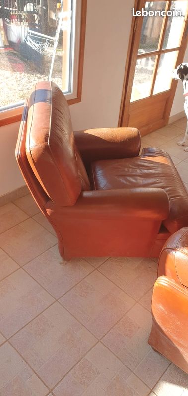 2 fauteuils cuir (image 1)