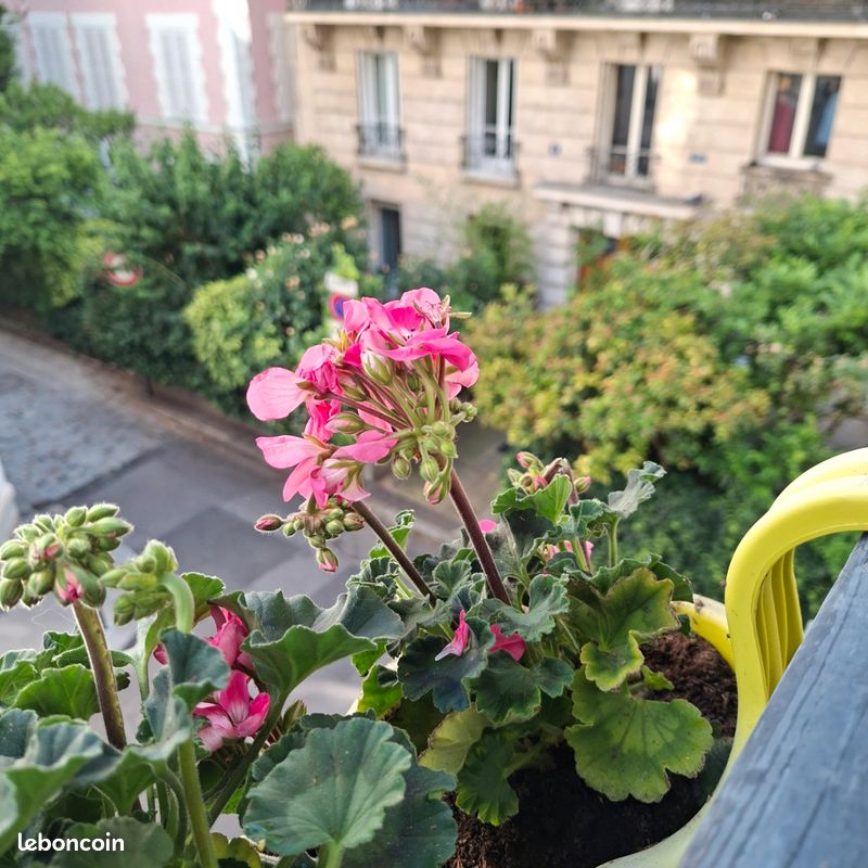 Appartement 1 pièce 20 m² · à Paris · 20 m² · 280 000 €
