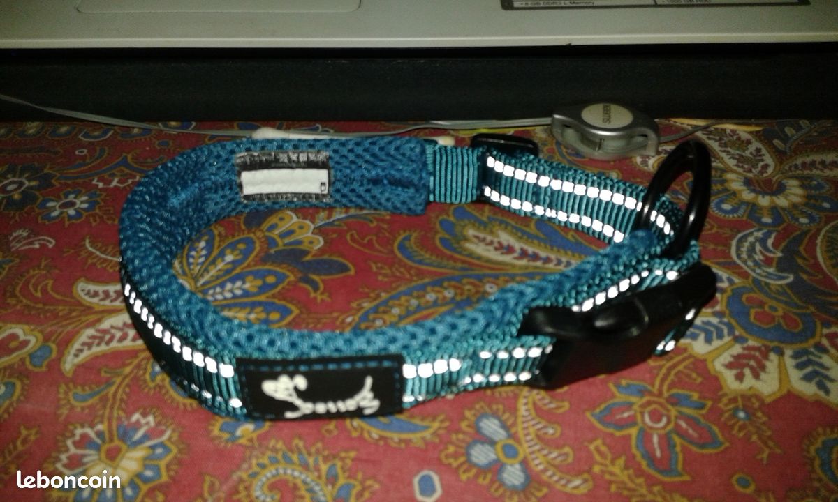 Collier pour petit chien (image 1)