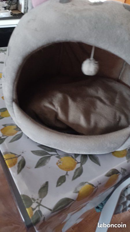 Cabane à chat (image 1)