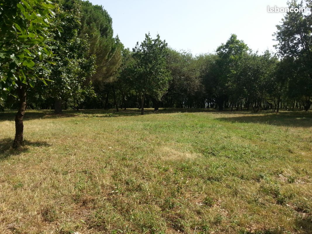 Terrain plat a construire a vendre (image 3)