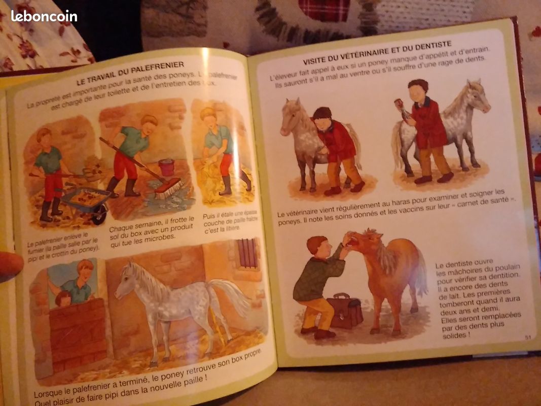 Livre l'imagerie du poney et du cheval. Loonatitou (image 2)