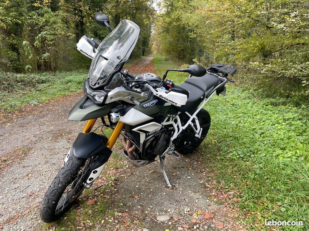 Triumph 900 Tiger Rally Pro Possib A 2 (image 1)