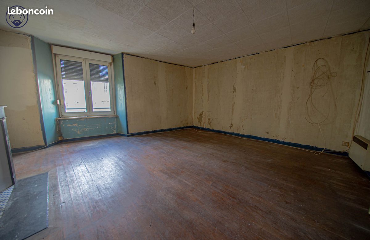 Immeuble 246 m² Saint-Mihiel (image 5)