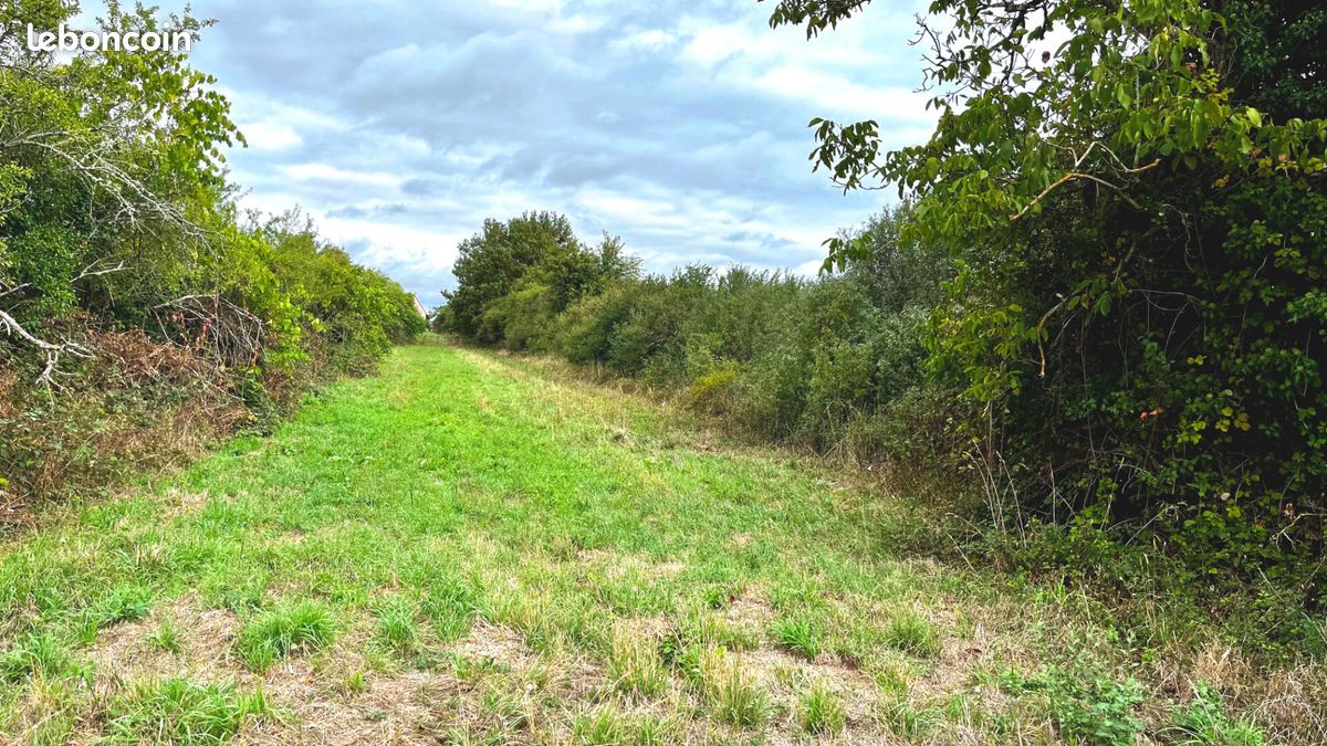 Terrain 3600 m² · à Charbuy · 3 600 m² · 40 000 €