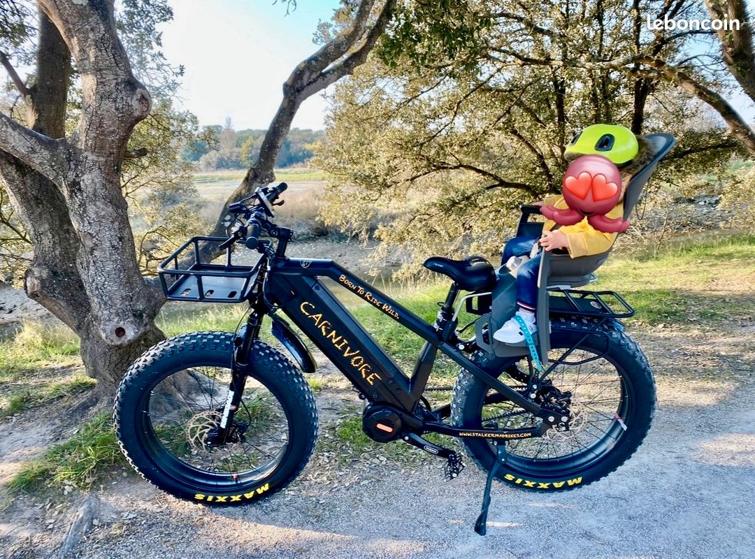 Vélo électrique CARNIVORE Sport Vélos
