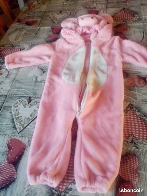 Lot Vetements bébé disney 18 mois fille (image 1)