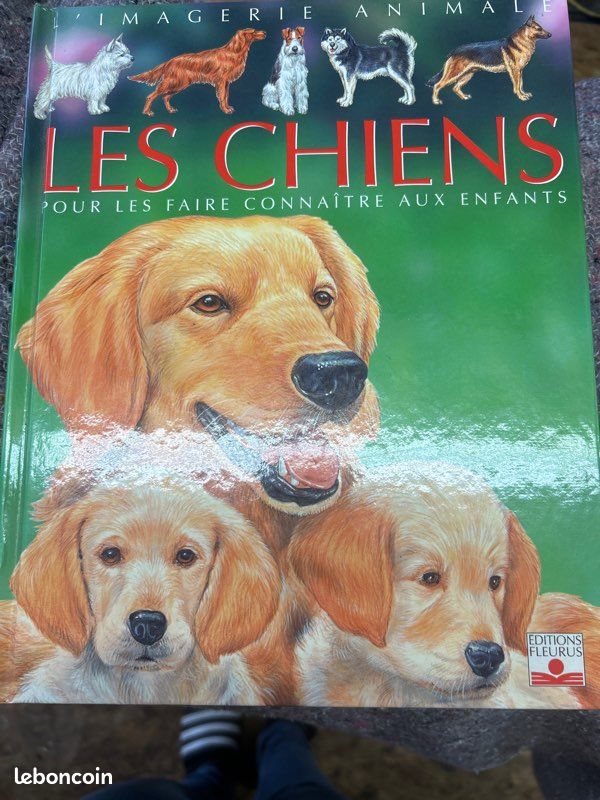 Livre sur les chiens pour enfants (image 2)