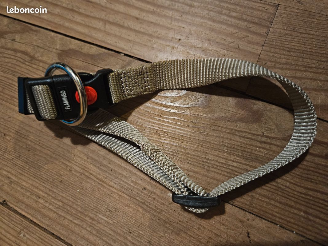 Collier chien taille L Neuf (image 3)