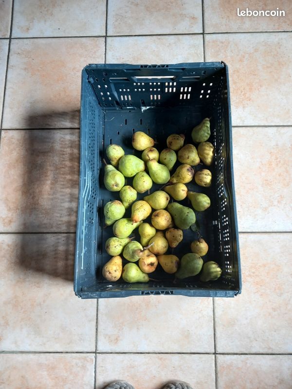 Poire (image 1)