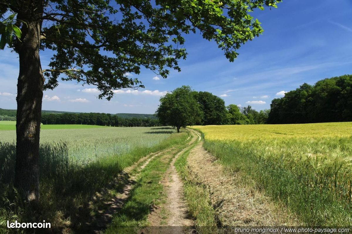 Terrain 554 m² Ahuille · à Ahuillé · 52 400 €