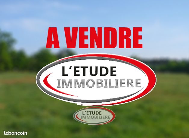 https://img.leboncoin.fr/api/v1/lbcpb1/images/88/65/79/886579eee9a53f779888033c34d28c518cceafca.jpg?rule=ad-image