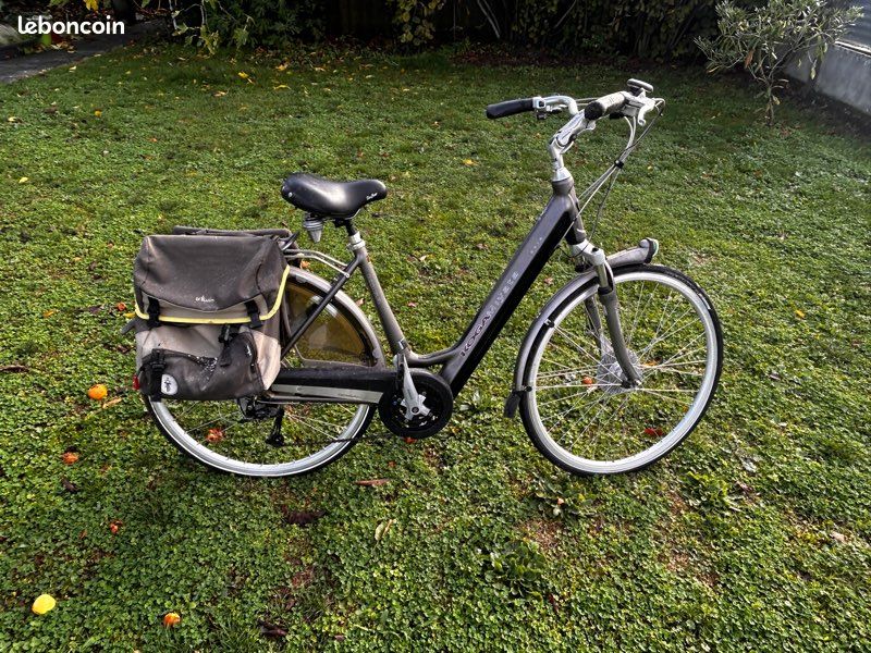 Vélo électrique KOGA Miyata tesla Vélos