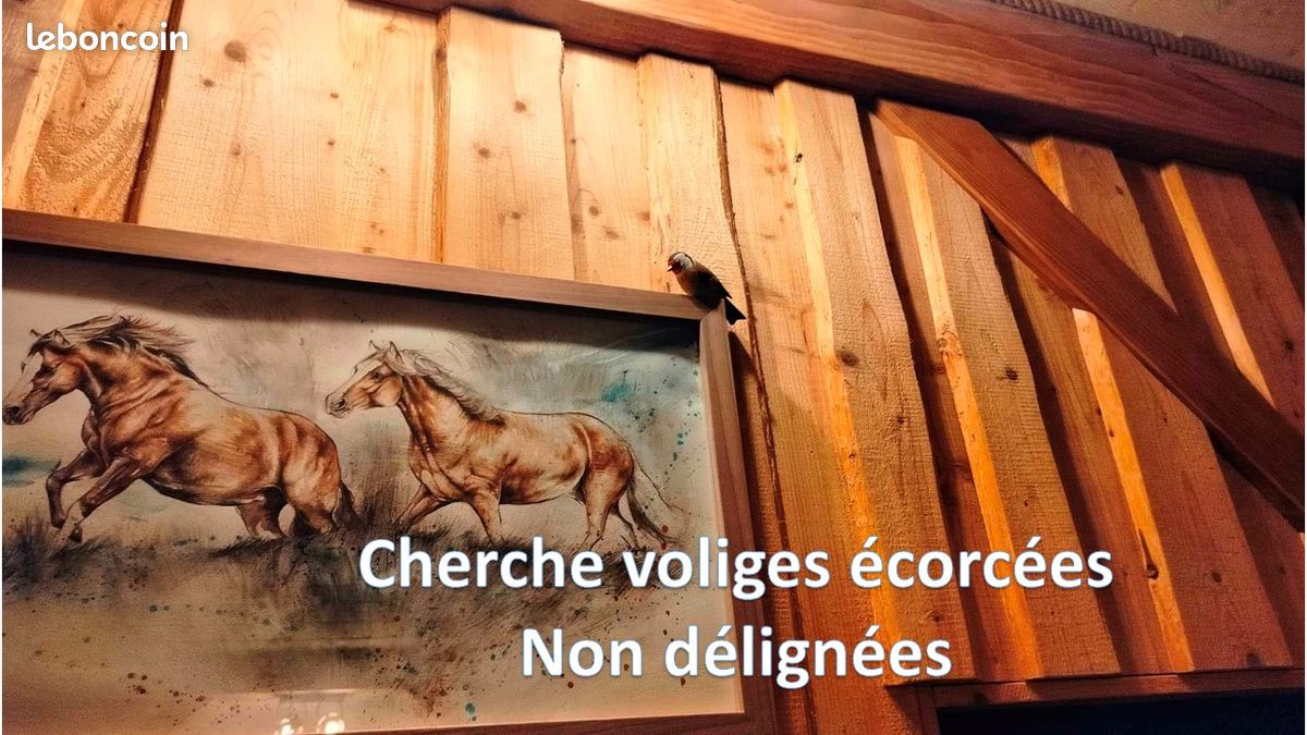 Cherche voliges écorcées non délignées (image 1)
