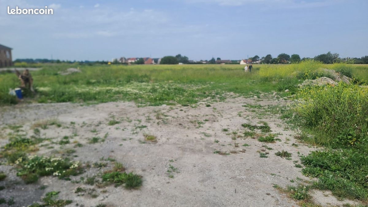 TERRAIN à batir TÉTEGHEM · à Téteghem-Coudekerque-Village · 169 600 €