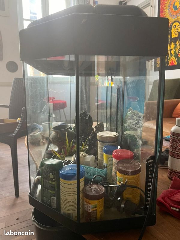 Aquarium (image 2)