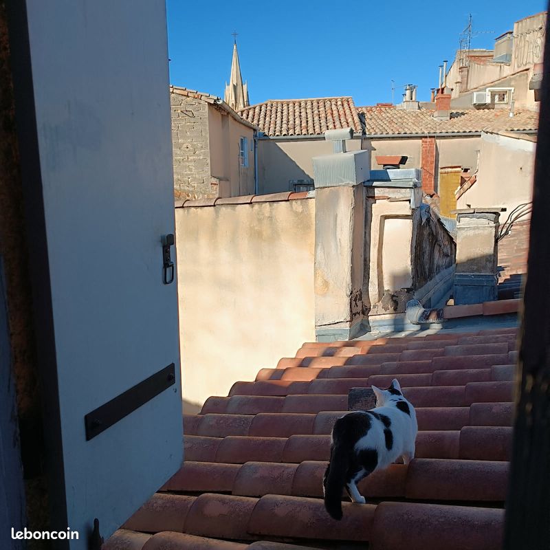 Appartement 3 pièces 54 m² · à Montpellier · 54 m² · 195 000 €