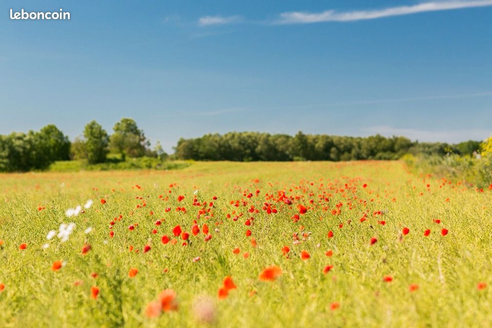 Terrain 244 m² Saint Georges De Didonne · à Saint-Georges-de-Didonne · 51 200 €