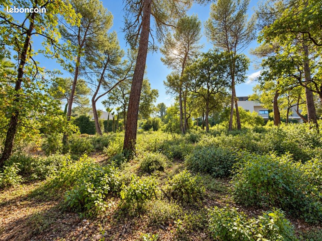 Terrain 2000 m² SAINT CLEMENT DE RIVIERE · à Saint-Clément-de-Rivière · 920 000 €