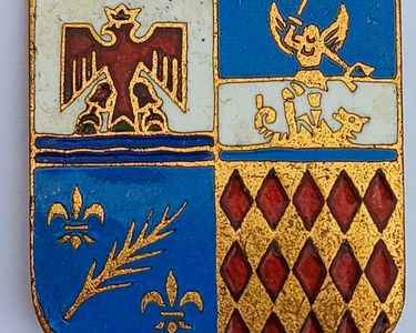 BG13634 - Insignia Badge Blazon Cote D'Azur | UK