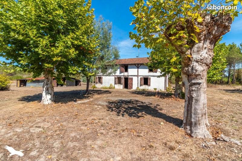Maison 5 pièces 98 m² · à Taller · 98 m² · 179 655 €