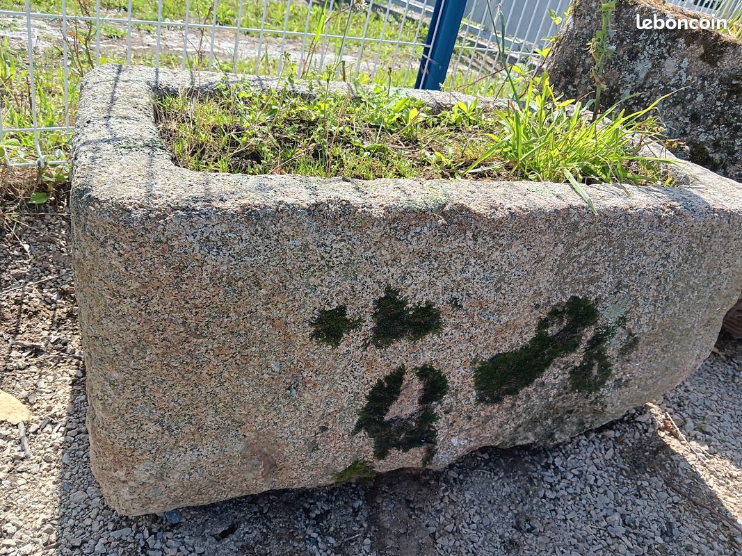 Auge granit (image 3)