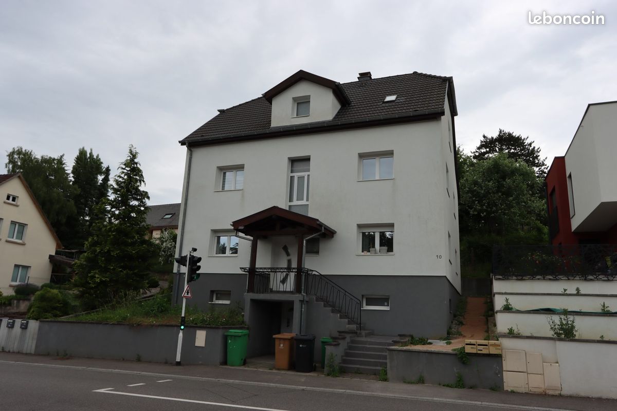 Immeuble 237 m² · à Buschwiller · 237 m² · 485 000 €