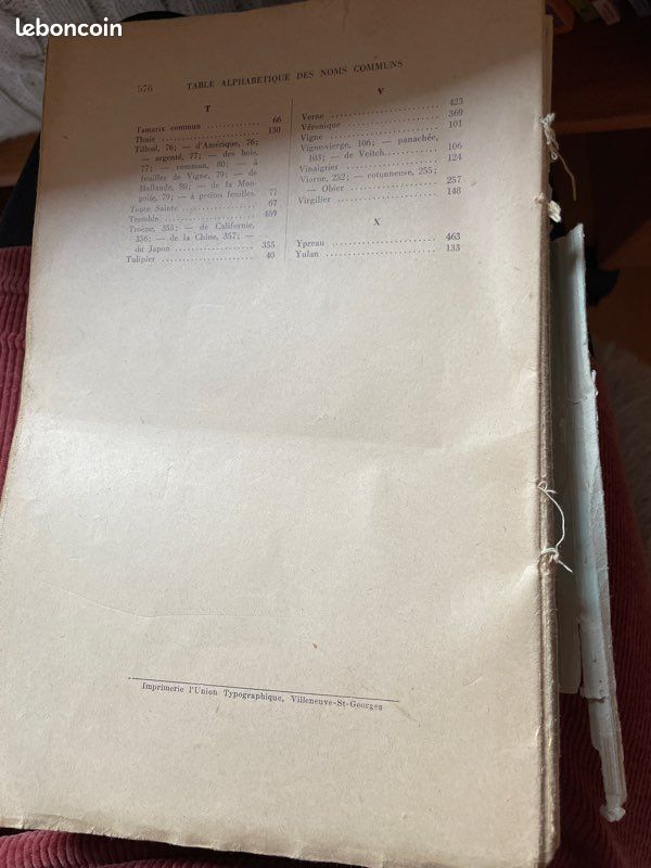 Livre ancien Arbres et arbustes d’ornement de pleine terre (image 5)