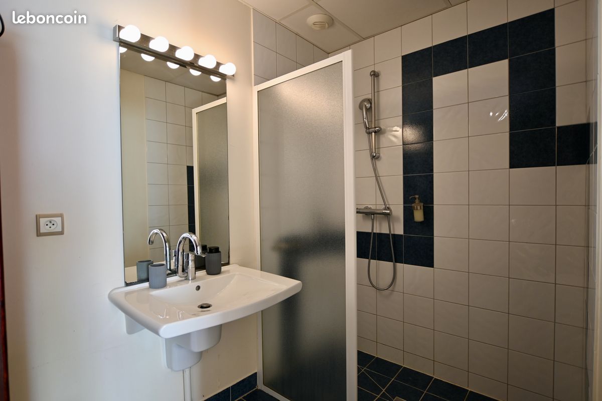 Propriété 12 pièces 345 m² (image 16)