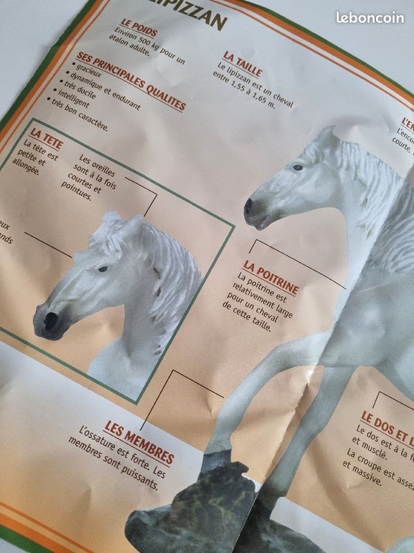 Figurine cheval Lipizzan (image 4)
