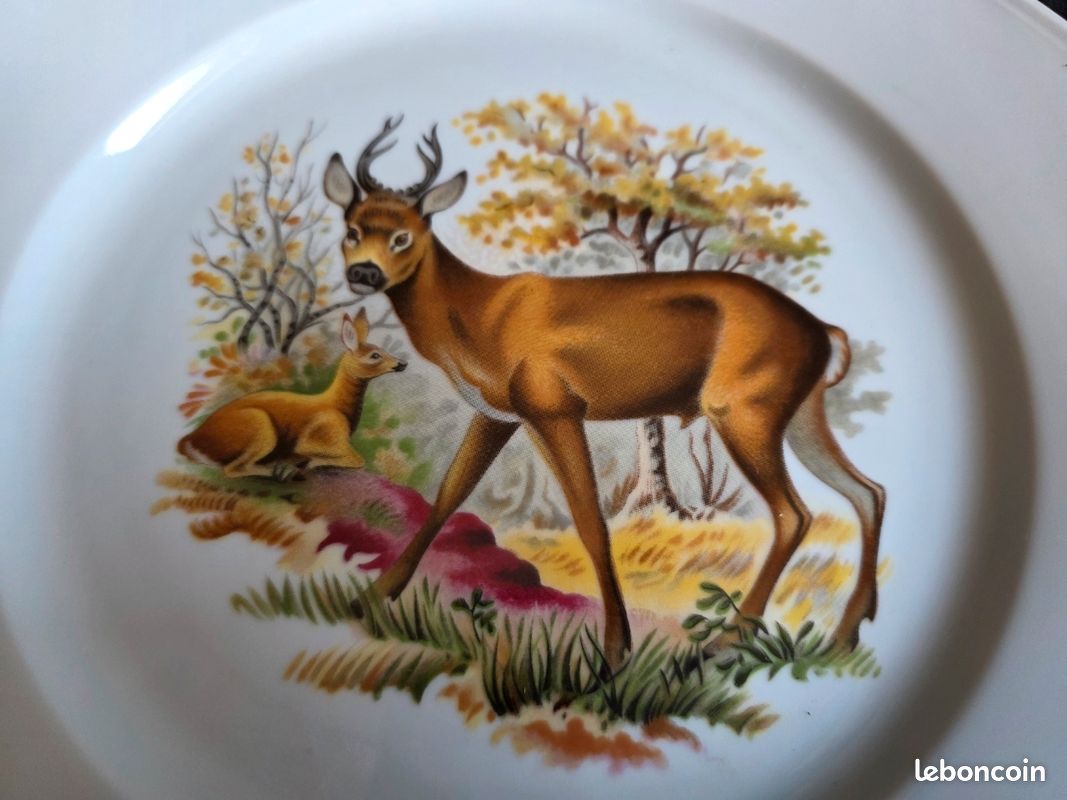 Lot de 6 assiettes plates octogonales décor chasse / gibier - 25,5 cm (image 5)