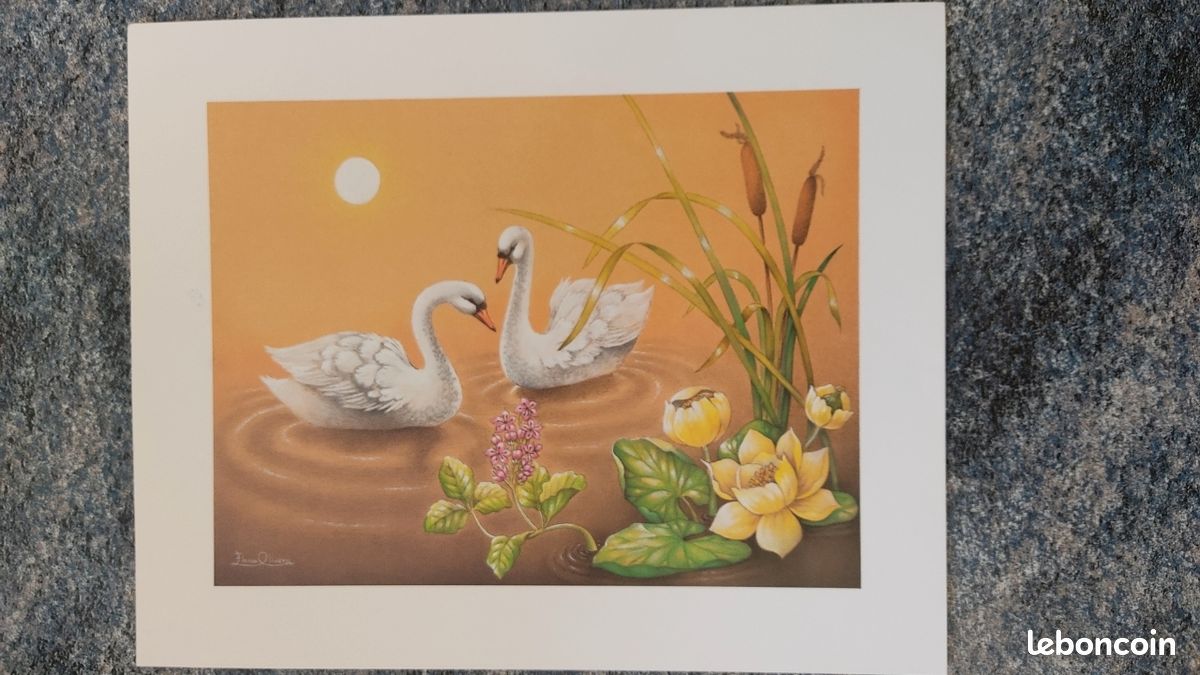 Image 'les cygnes'- 24x30cm (image 1)