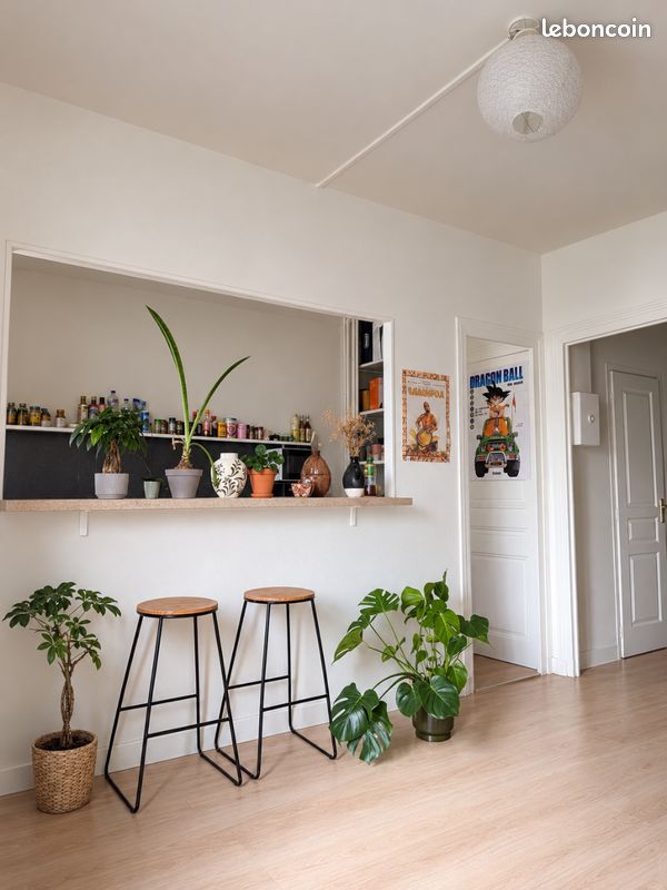 Appartement 3 pièces 55 m² · à Tours · 55 m² · 800 €/mois
