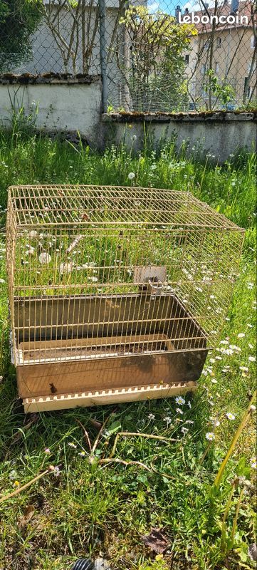 Cage (image 1)
