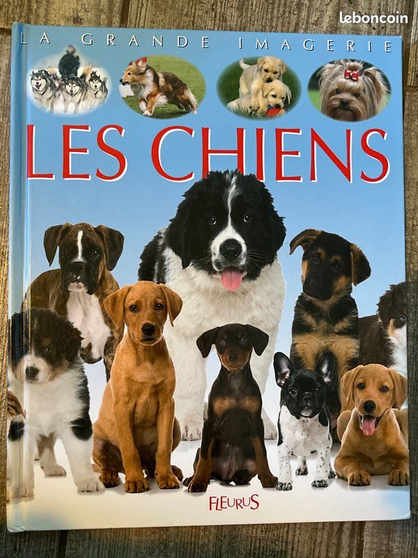 La grande imagerie - Les chiens (image 1)
