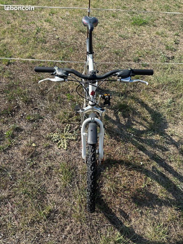 Vélo adulte mercier (image 2)