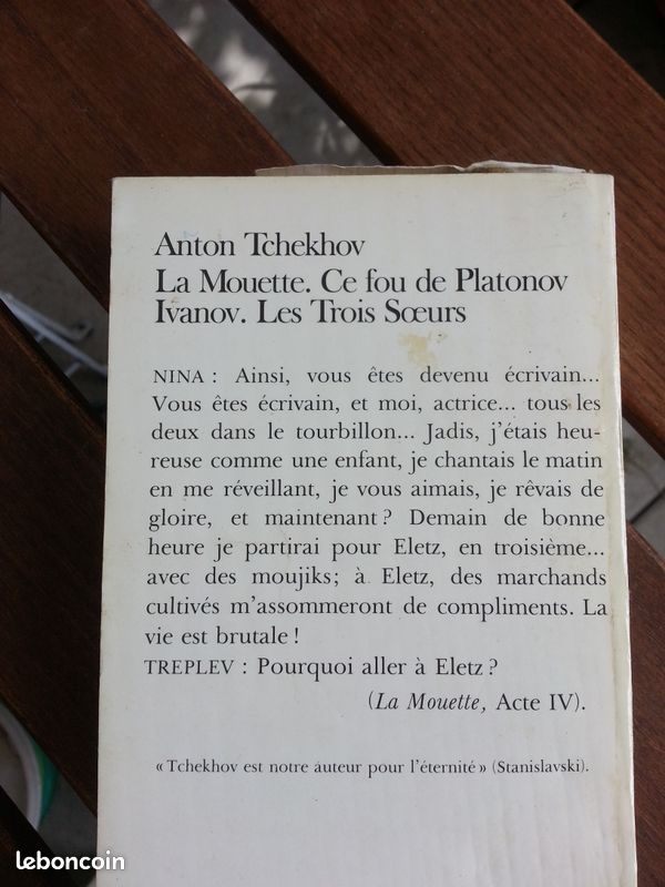 La Mouette Tchekhov (image 2)
