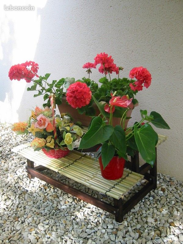 Etagere double en Bambou et Paulownia (image 2)