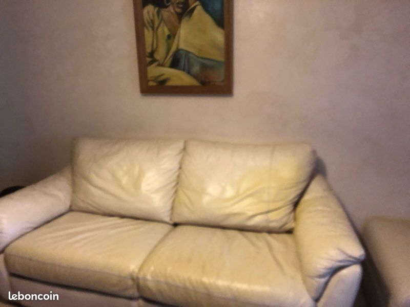 Canapé convertible à vendre (image 1)