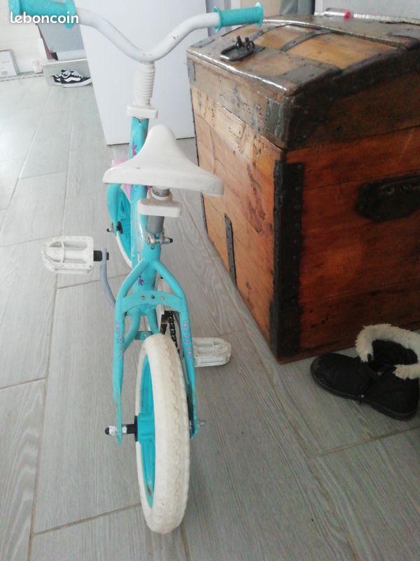 Vélo reine des neiges (image 5)